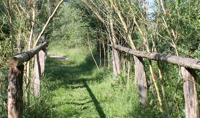 Weg auf dem Naturerlebnispfad in Dürrholz