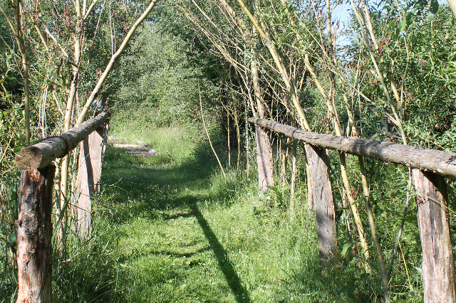 Weg auf dem Naturerlebnispfad in Dürrholz