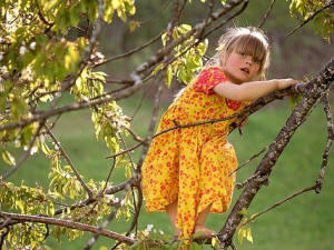 Kind klettert auf Baum