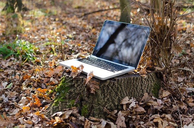 Laptop im Laub im Wald
