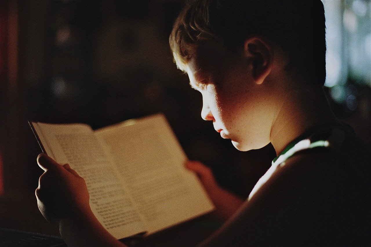 Junge liest ein Buch