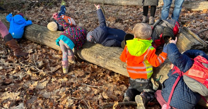 Kinder horchen am Baumtelefon