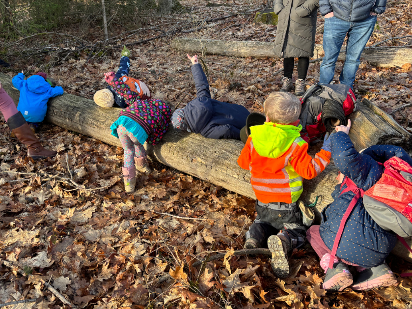 Kinder horchen am Baumtelefon
